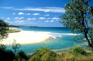 Fish kill under investigation